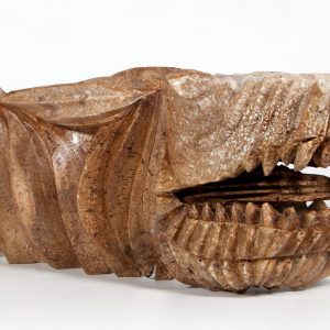 Dragón II (frontal)