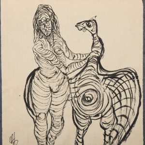 Los Gansos del Capitolio